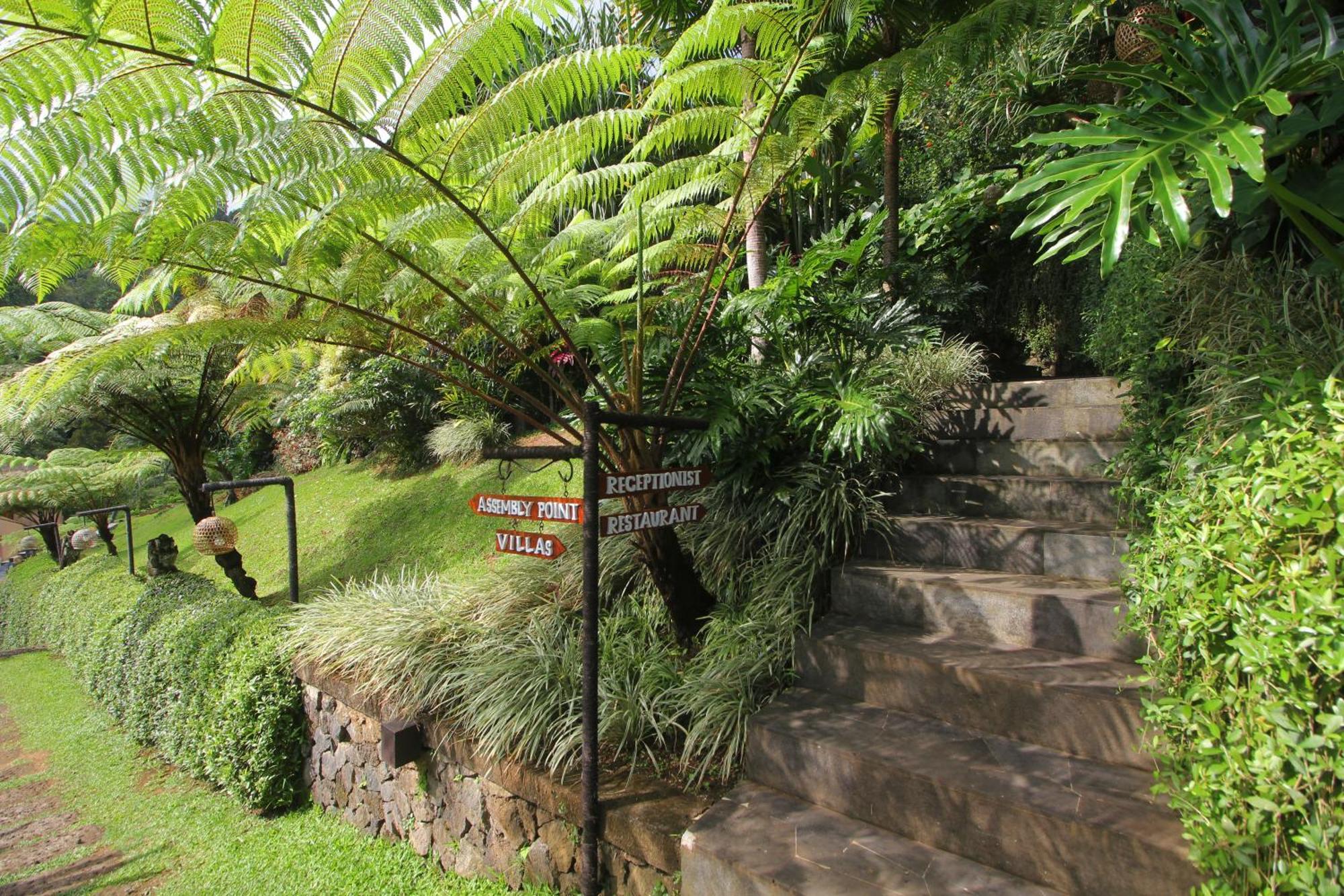 סיידמן Patal Kikian Villa מראה חיצוני תמונה
